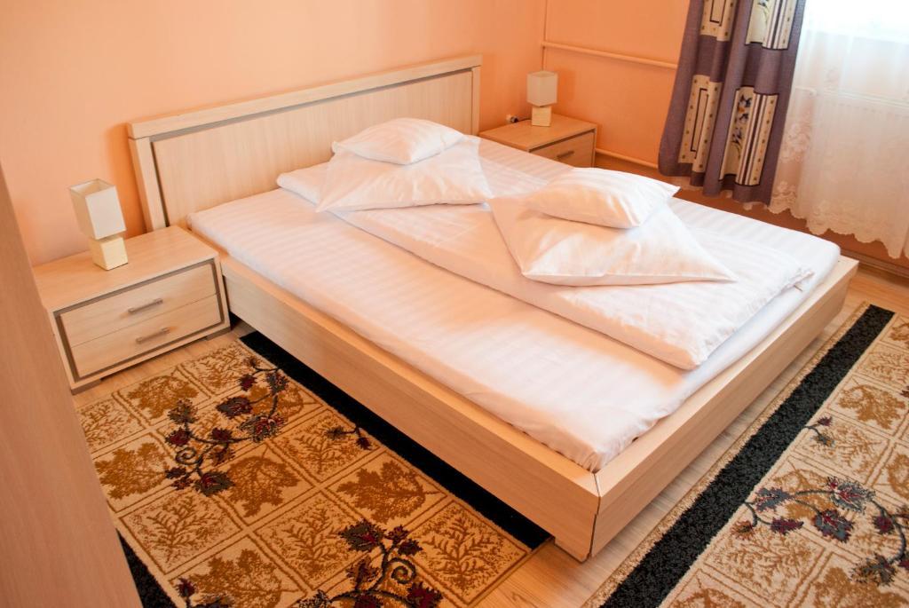 Guest house Pensiunea Vlad
