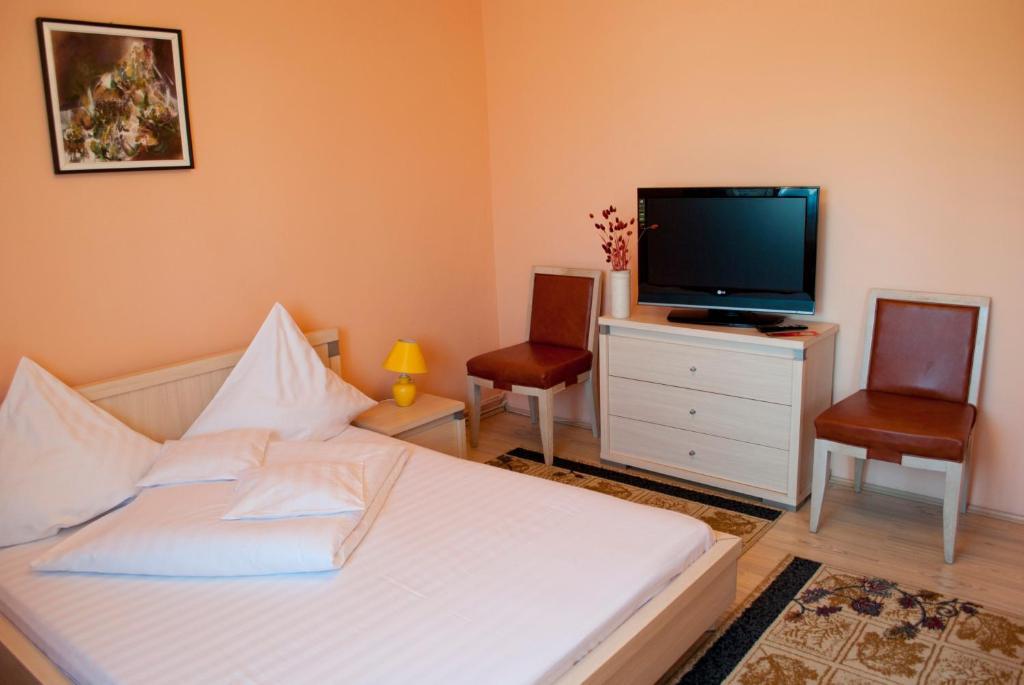 Guest house Pensiunea Vlad 3*