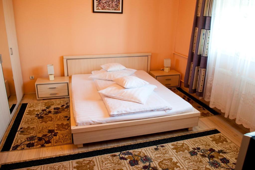 Pensiunea Vlad 3* Timisoara