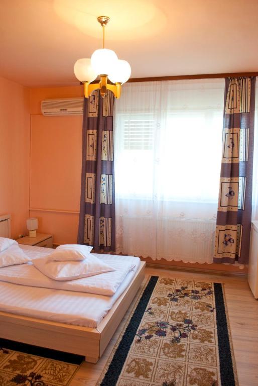 Pensiunea Vlad 3* Timisoara