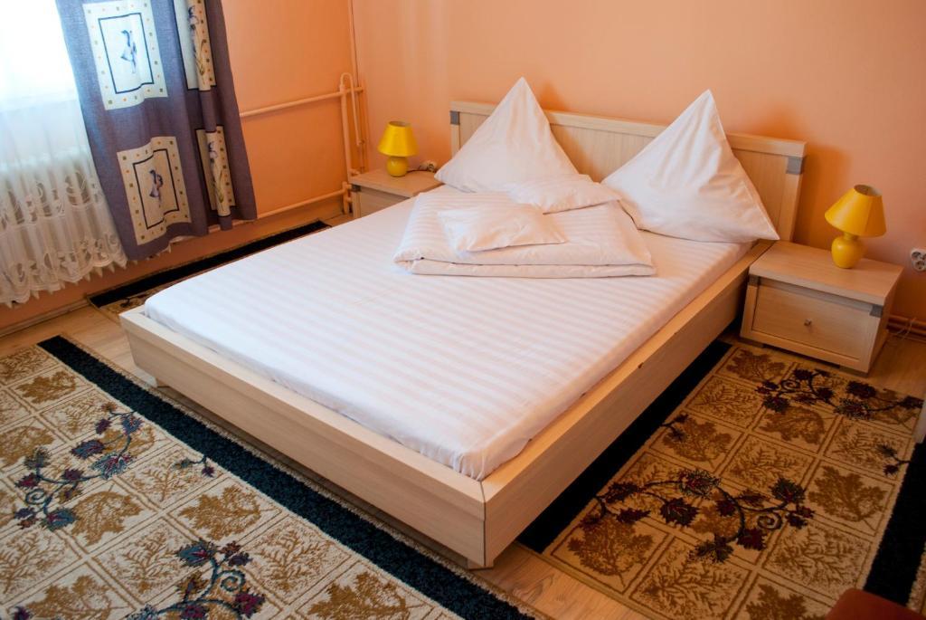 Pensiunea Vlad Guest house 3*