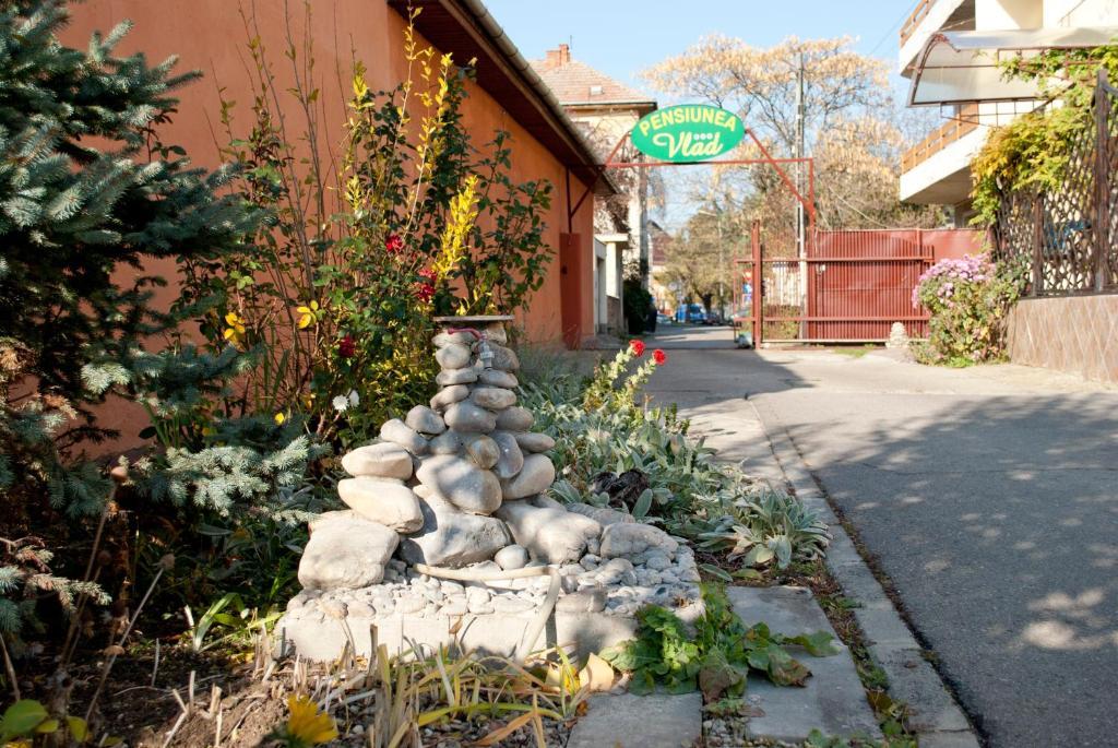 Guest house Pensiunea Vlad 3*